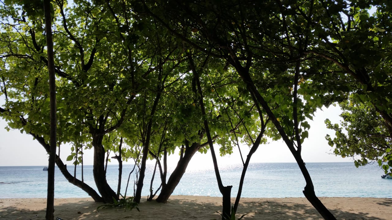 Ausblick von Hauptbar NH Collection Maldives Reethi Resort