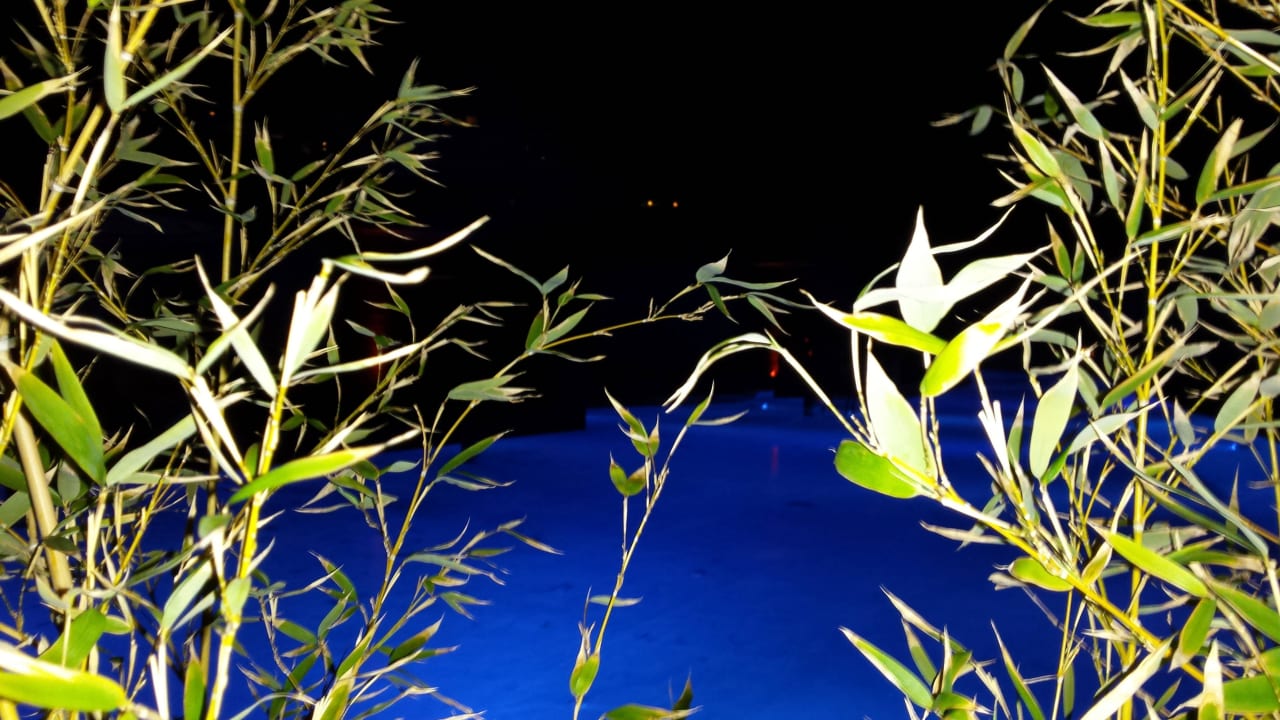 Bei Nacht Maxx Royal Belek Golf Resort