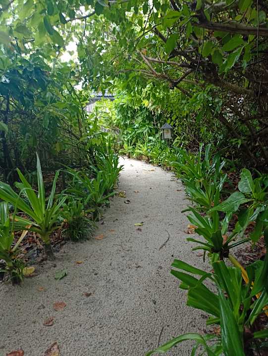 Gartenanlage Kuredu Island Resort & Spa