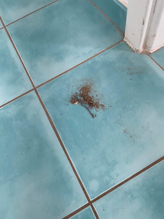 Zimmer Apartamentos LIVVO Morromar