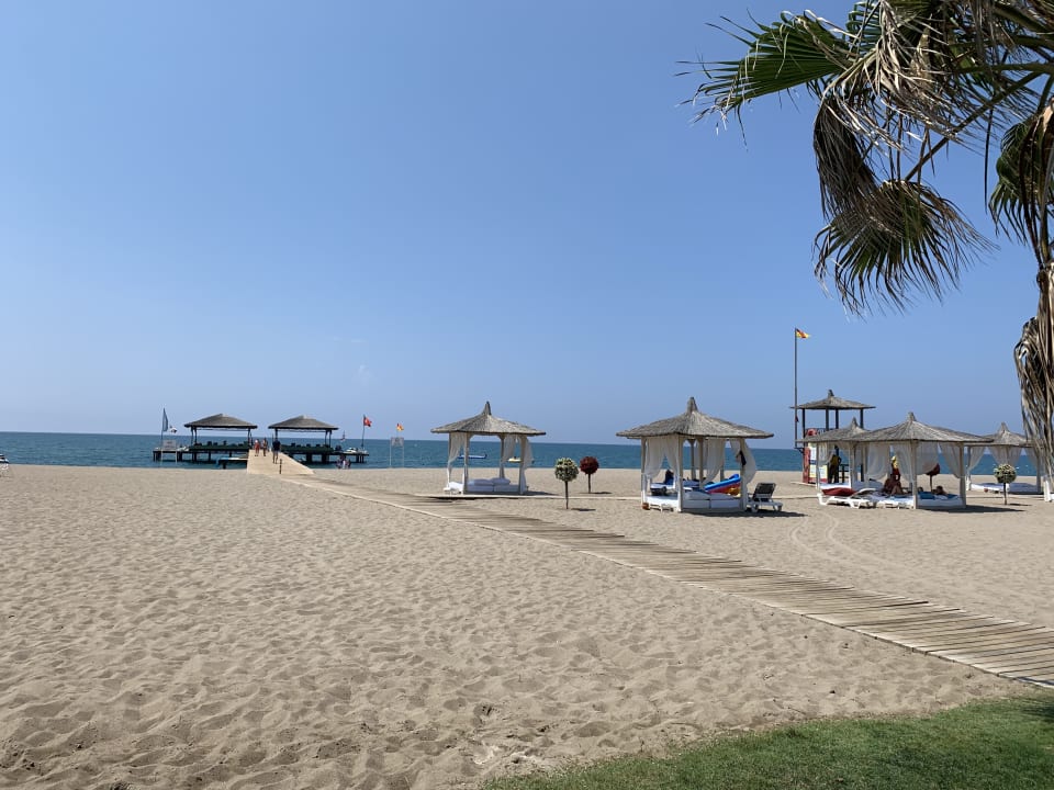 Strand ROBINSON NOBILIS