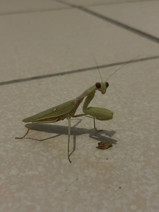 Sonstiges HARPIN Happy Days Beach Hotel