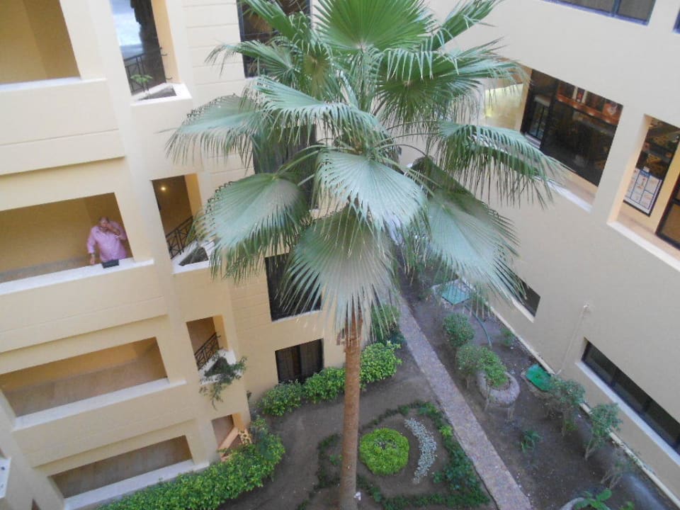 Сад SUNRISE Holidays Resort (Adults Only)