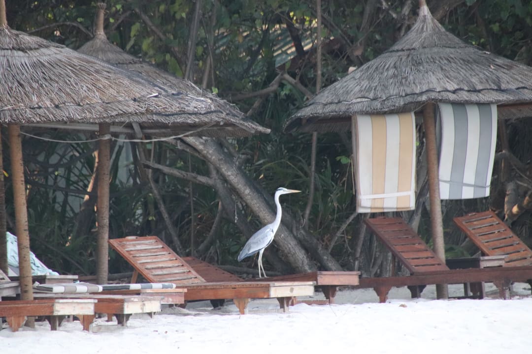 Sonstiges NH Collection Maldives Reethi Resort