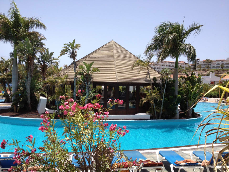 Pool mit Bar Fuerteventura Princess