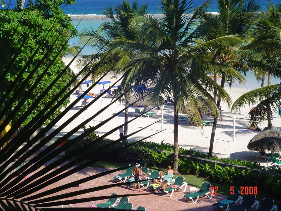 Pool und Strand whala!boca chica