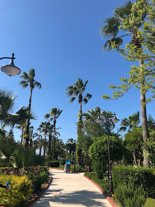 Gartenanlage Saphir Resort & Spa