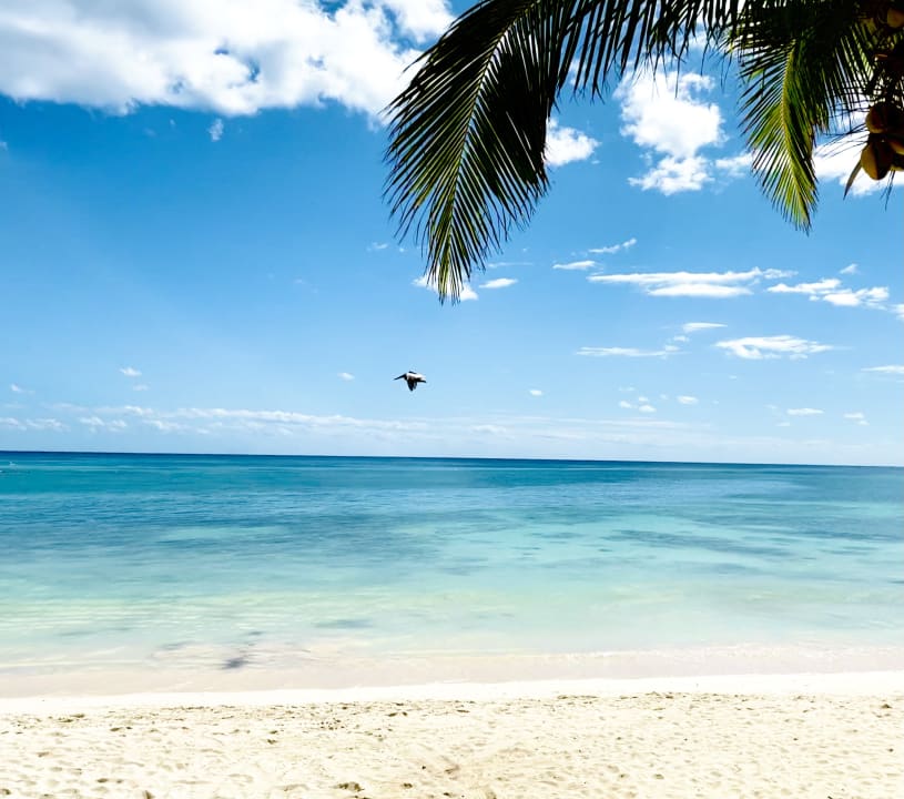 Strand Akumal Bay Beach & Wellness Resort