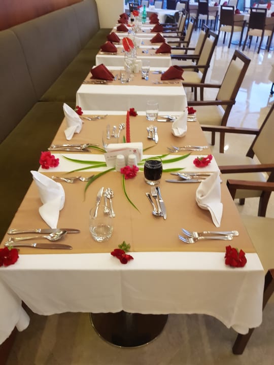 Gastro Arum Barut Collection