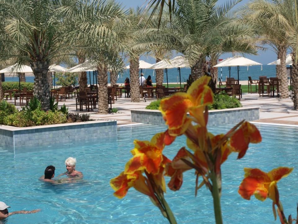 Kwiaty przy basenie Rixos Al Mairid Ras Al Khaimah