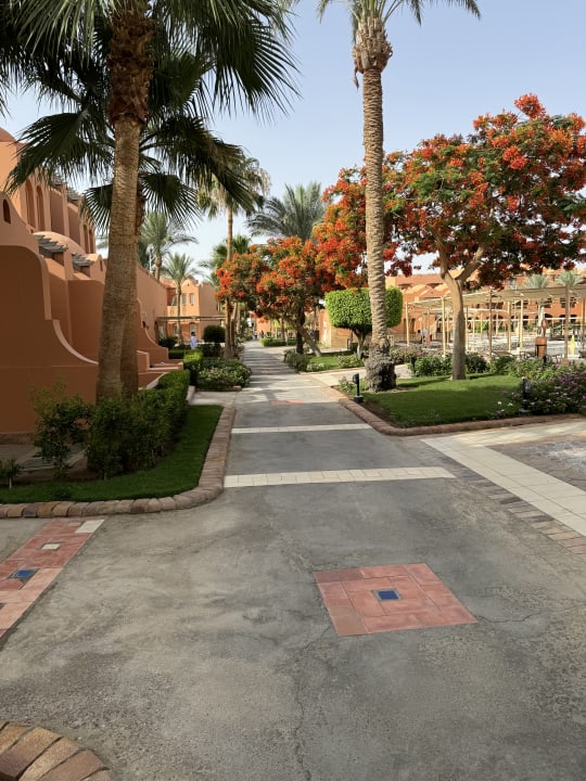 Gartenanlage Jaz Makadi Oasis Resort