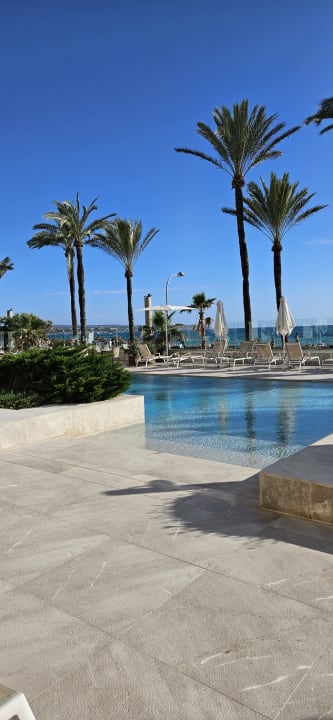 Sonstiges Myseahouse Flamingo - Adults only