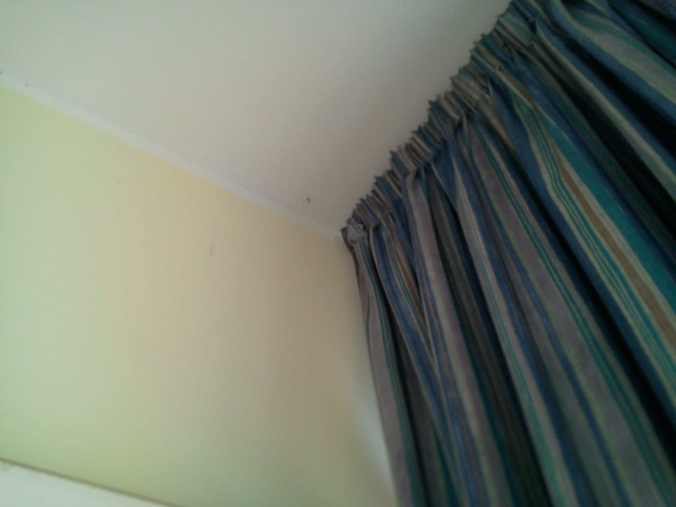 Unsere Mitbewohner Hotel Internazionale