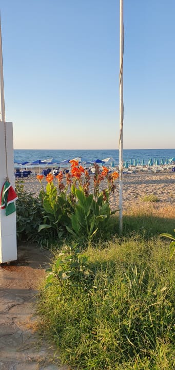 Pool Hotel Kathrin Beach