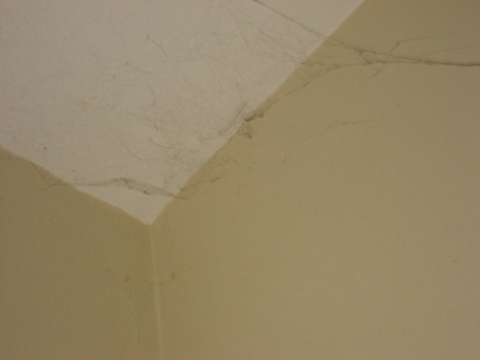 Ist das sauber? Bungalows Parque Bali