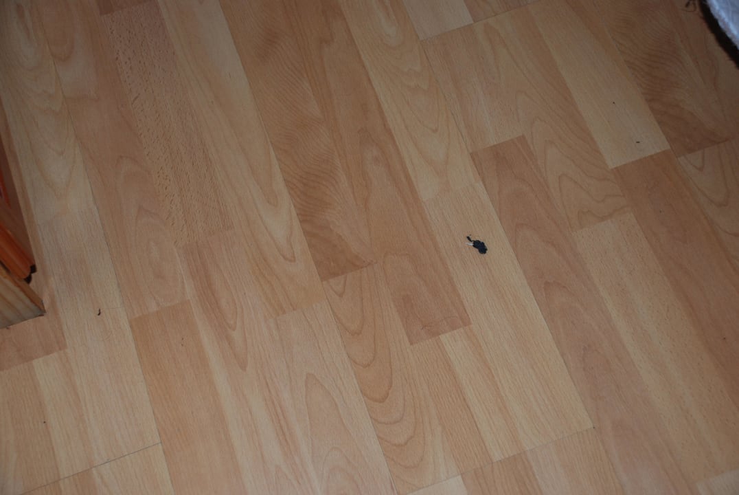 Fussboden Coral Teide Mar