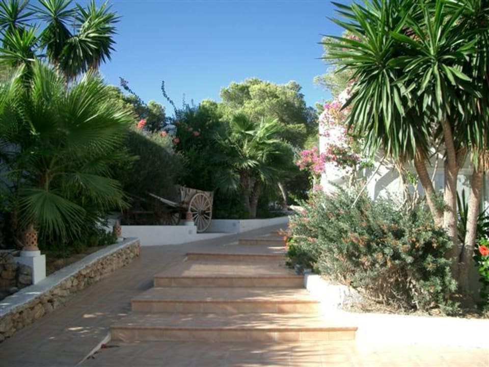 Cala Llenya Hotelanlage Cala Llenya Resort Ibiza
