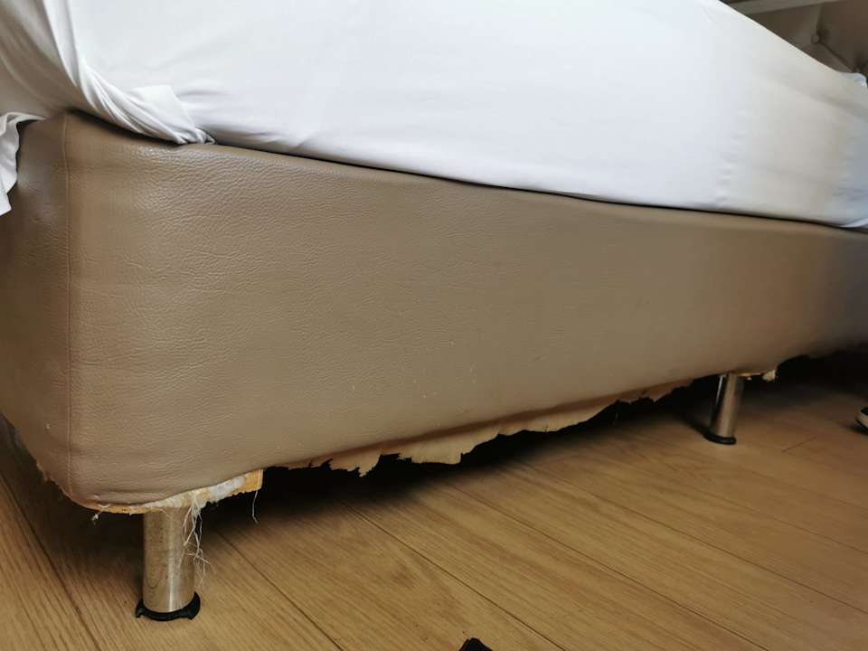 Zimmer Saturn Palace Resort Hotel