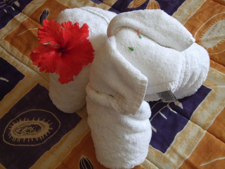 Immer wieder schön Viva Azteca by Wyndham - All Inclusive Resort