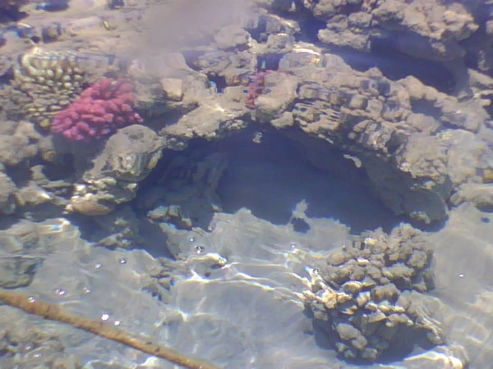 Sport & Freizeit Grand Waterworld Makadi & Family Star Makadi