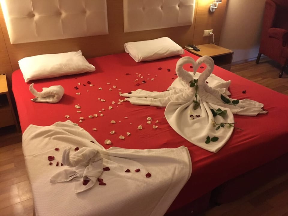 Zimmer Alaiye Resort & Spa