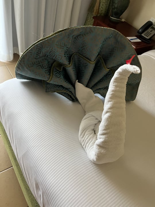 Zimmer Pickalbatros Oasis Hotel - Port Ghalib