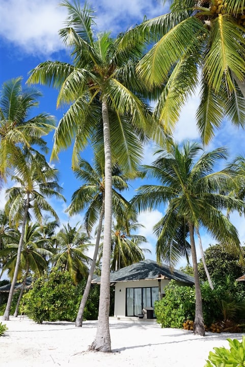 Zimmer NH Collection Maldives Havodda Resort