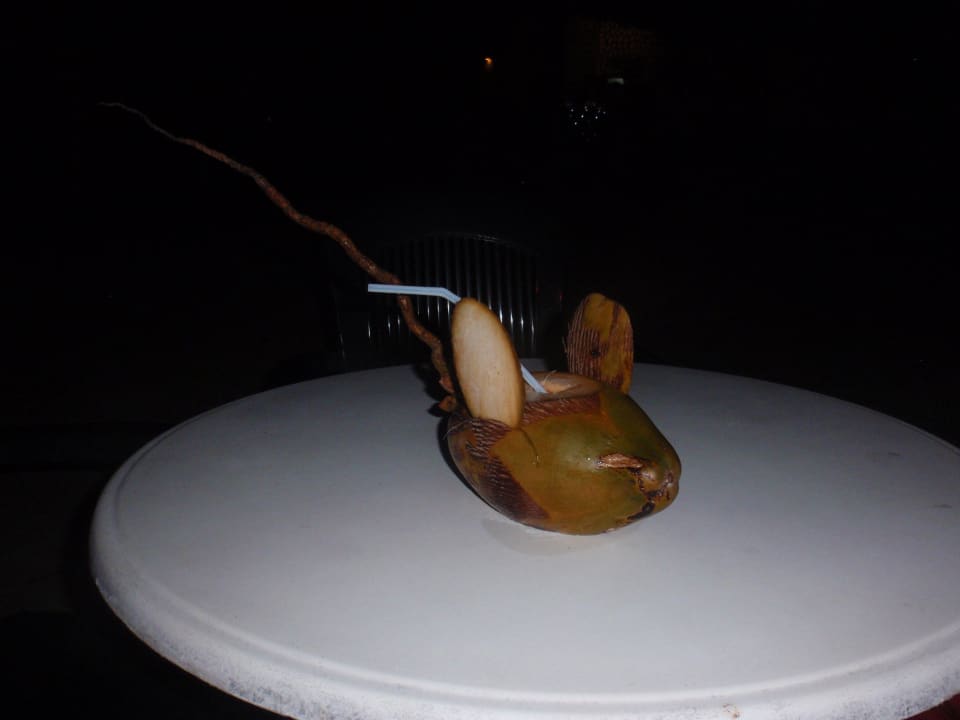 Cocktail in einer Kokosnuss Adaaran Club Rannalhi - All Inclusive