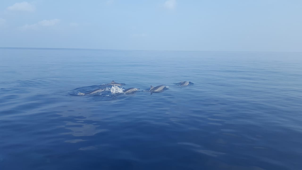 Delphine Adaaran Select Hudhuran Fushi - Premium All Inclusive