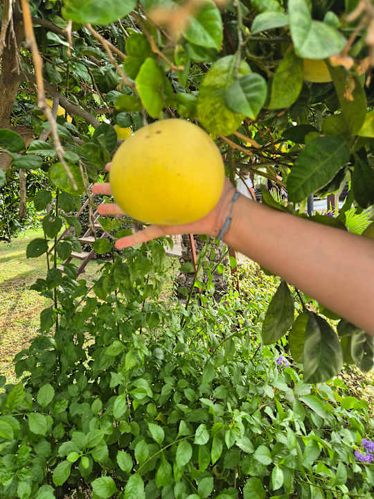 Sonstiges Sunis Kumköy Beach Resort Hotel & Spa