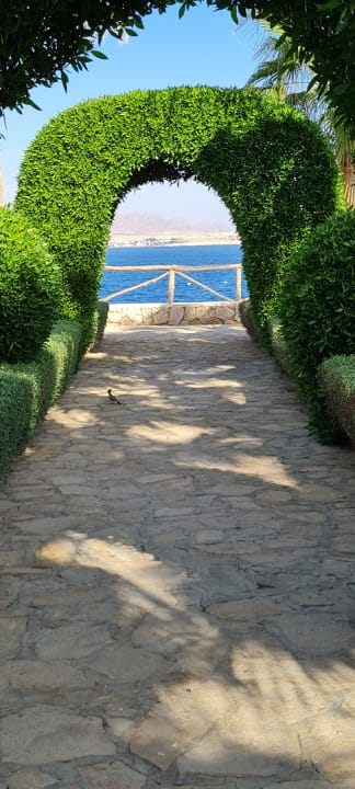 Gartenanlage Sharm Club Beach Resort