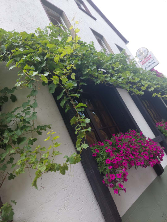 Außenansicht Moselstern Hotel Zum guten Onkel