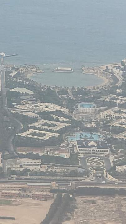 Sonstiges Desert Rose