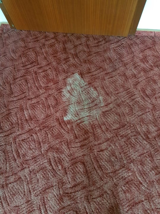 Zimmer Hotel Nevada Hamburg