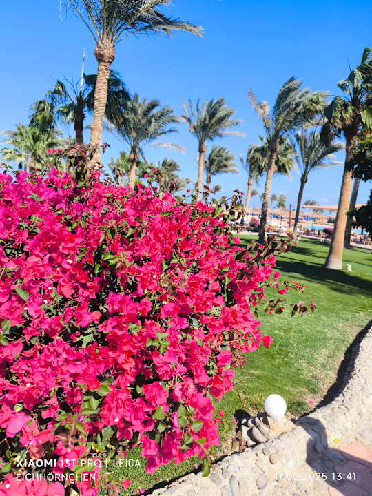 Gartenanlage Three Corners Sea Beach Resort