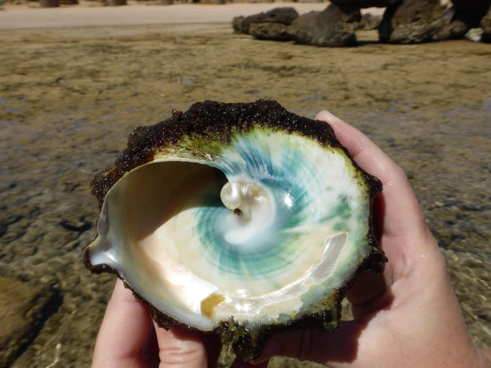 Strand Pickalbatros Citadel Resort