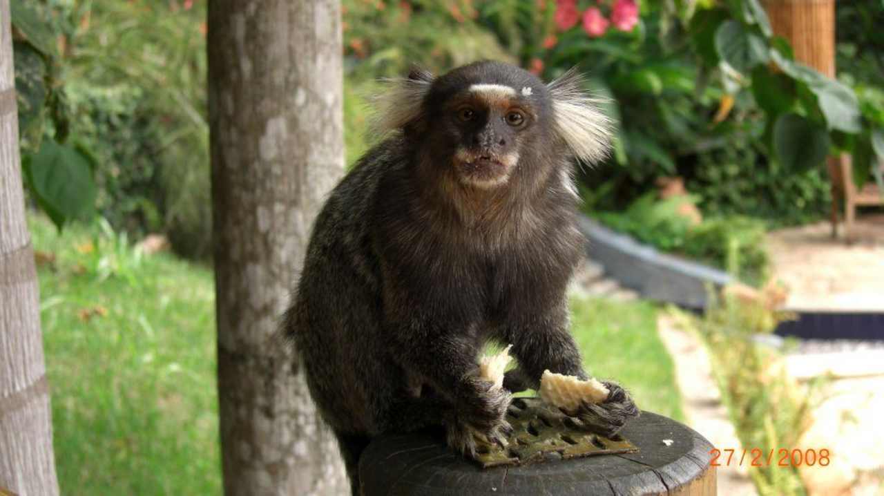 Pousada Vilangelim Pousada Vilangelim