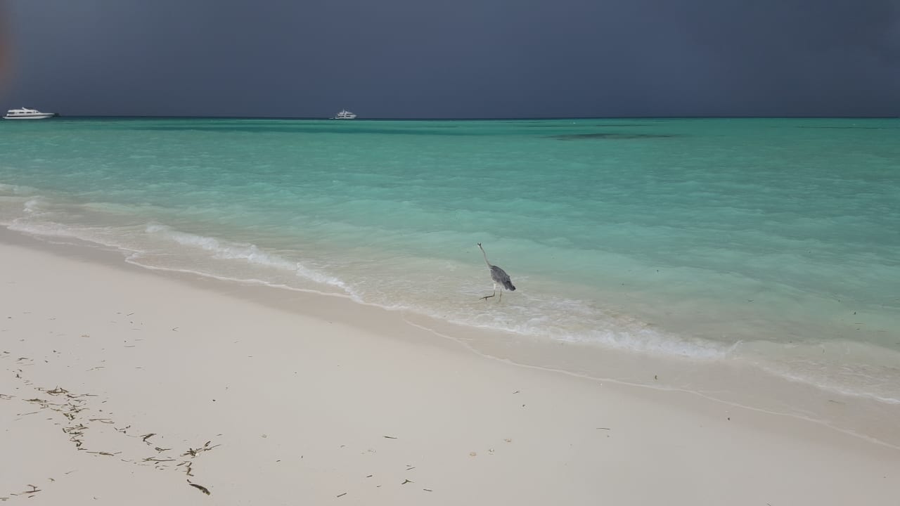 Strand Meeru Maldives Resort Island