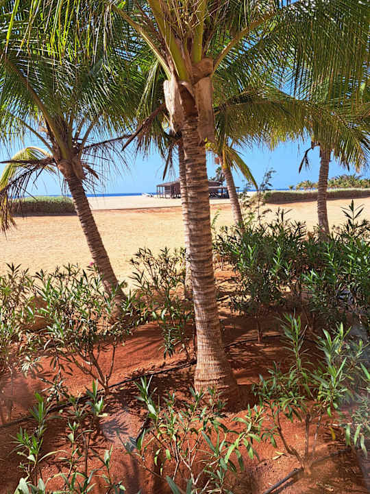 Sonstiges Hotel Riu Touareg