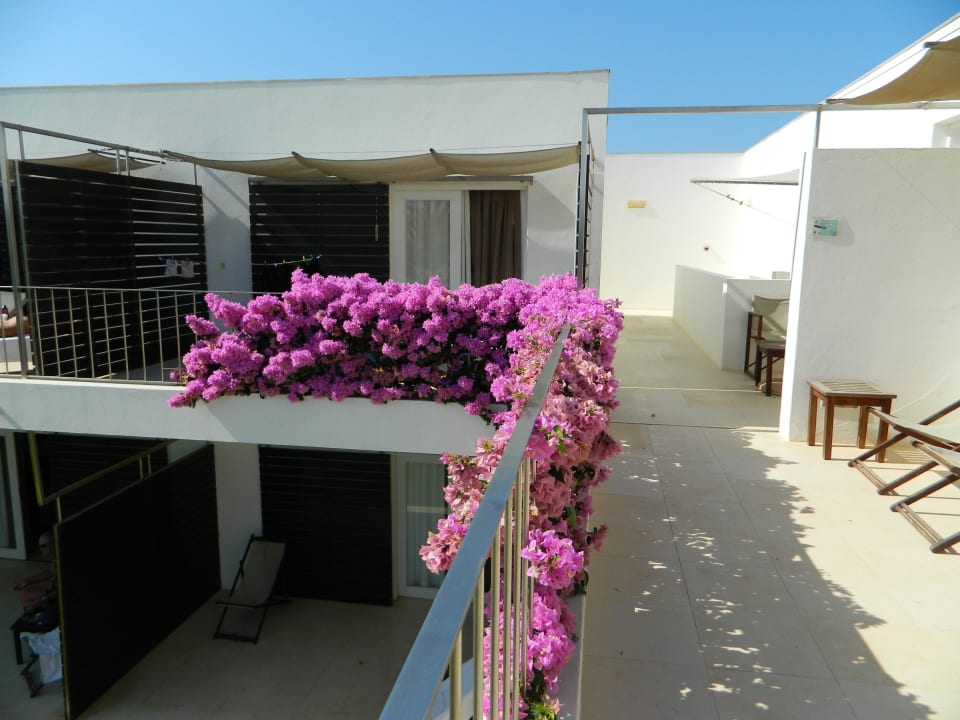 Und noch mal Hotel Dunas De Sal