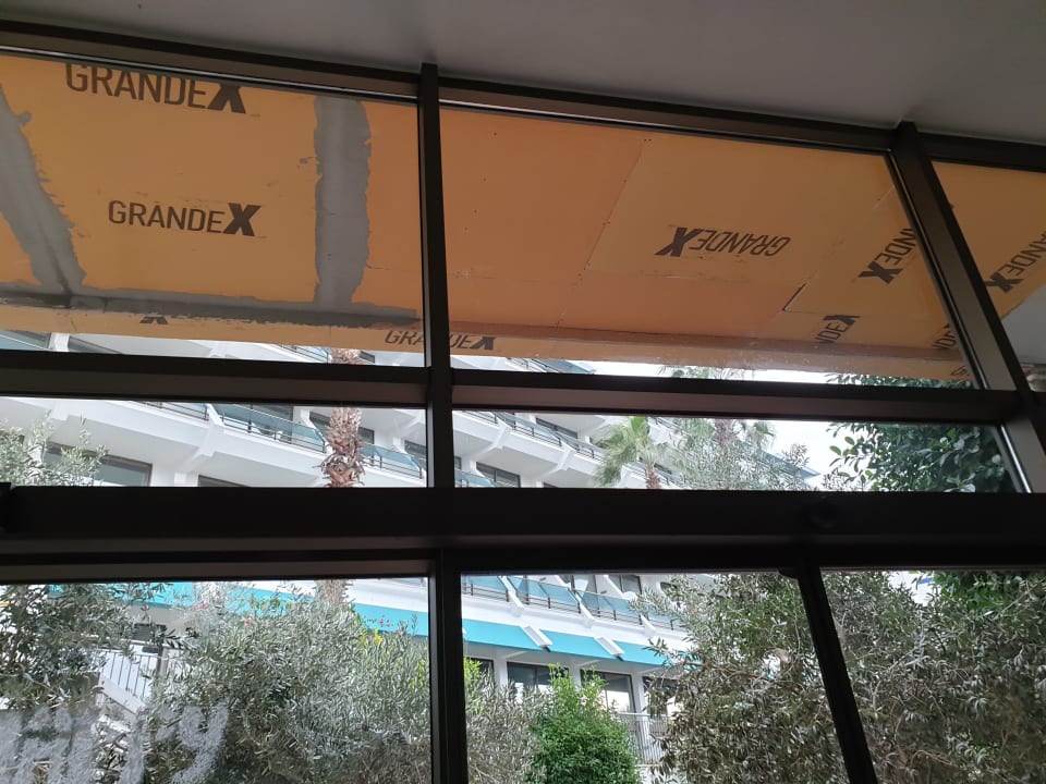 Gastro Side Star Elegance