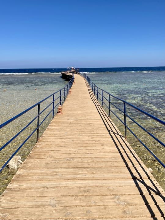 Strand Pickalbatros Palace Hotel-Port Ghalib