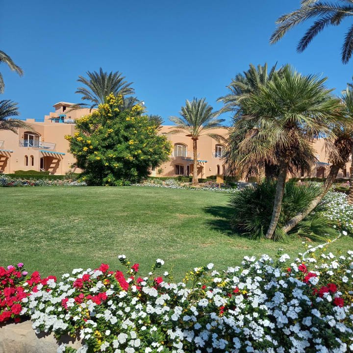 Gartenanlage Club Paradisio El Gouna, Red Sea