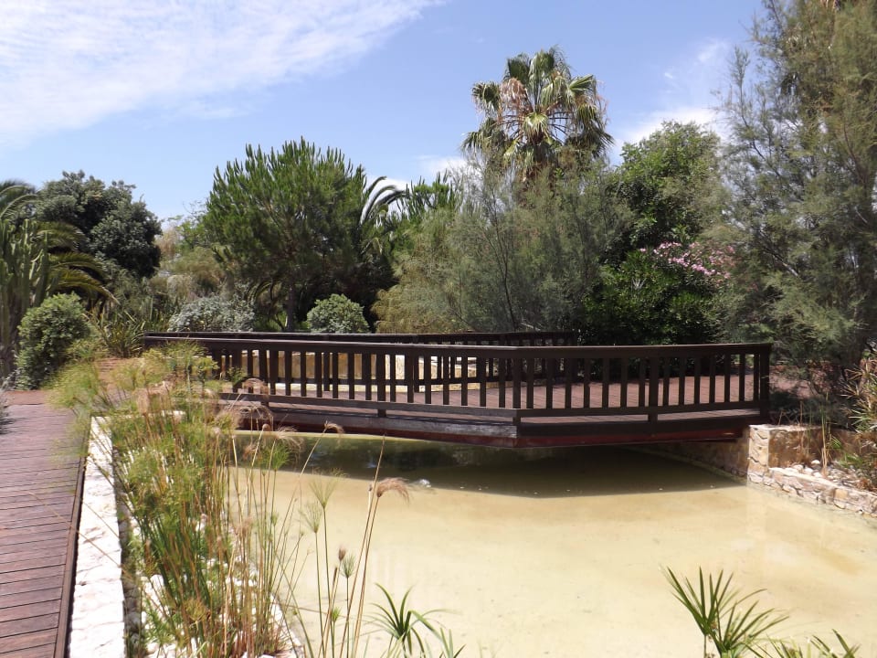  Gartenbereich Ozadi Altura Beach Resort