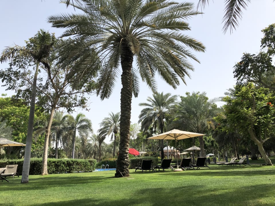 Gartenanlage Emirates Palace Mandarin Oriental