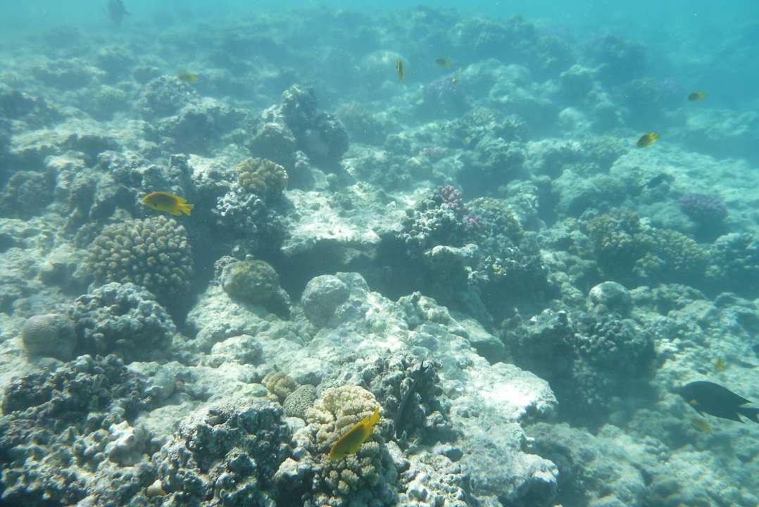 Strand Stella Garden Resort & Spa, Makadi Bay