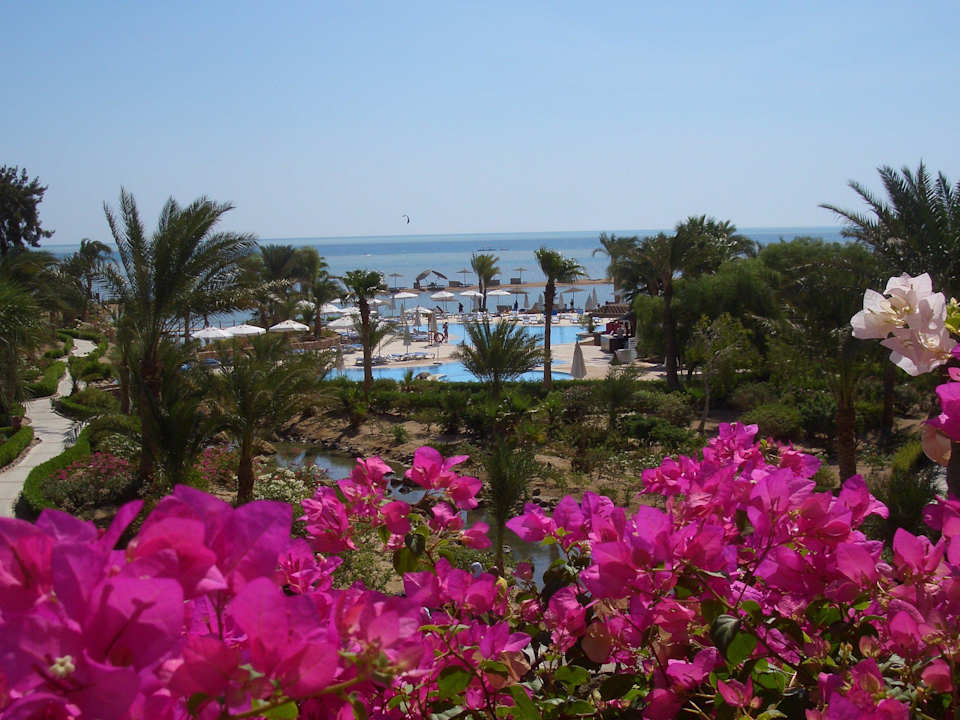 Blütenpracht Mövenpick Resort & Spa El Gouna