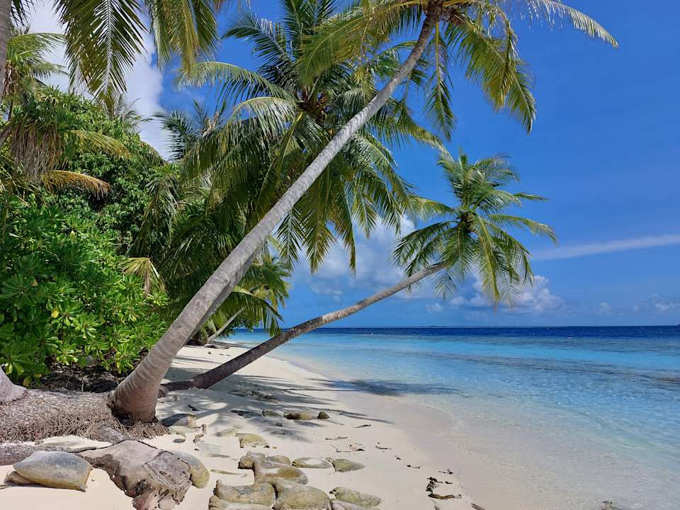 Außenansicht Vilamendhoo Island Resort & Spa