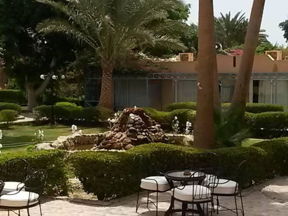 Garten, immer sehr gepflegt Giftun Azur Resort