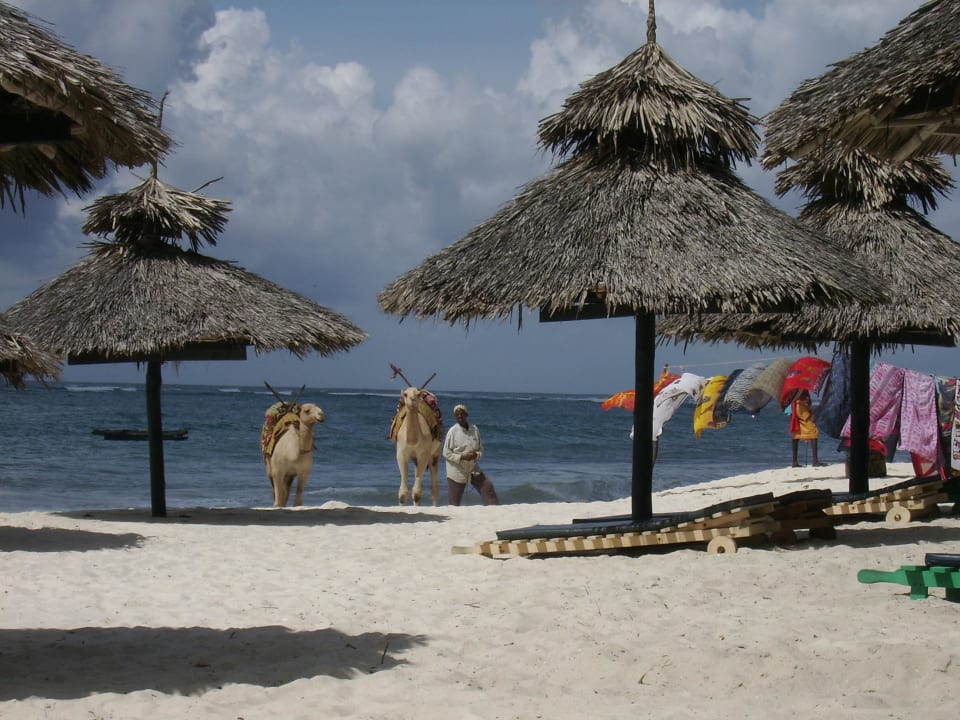 Strand - Feeling Hotel Southern Palms Beach Resort